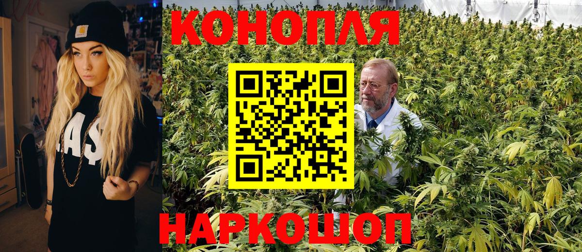 Канабис SATIVA & INDICA Россия